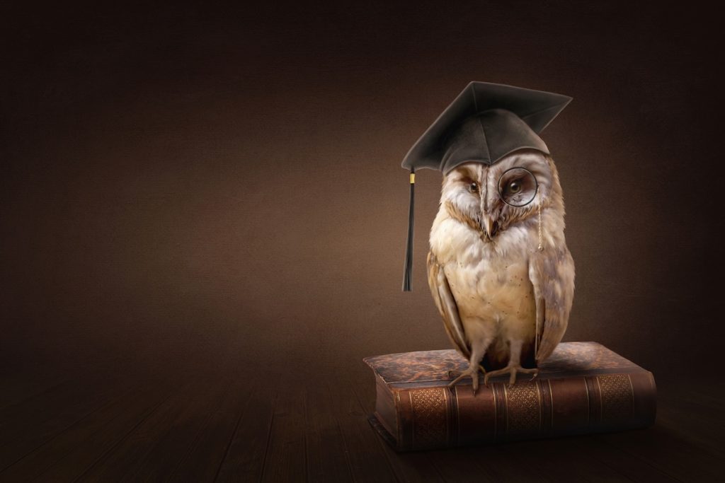 Knowledge Management Featured